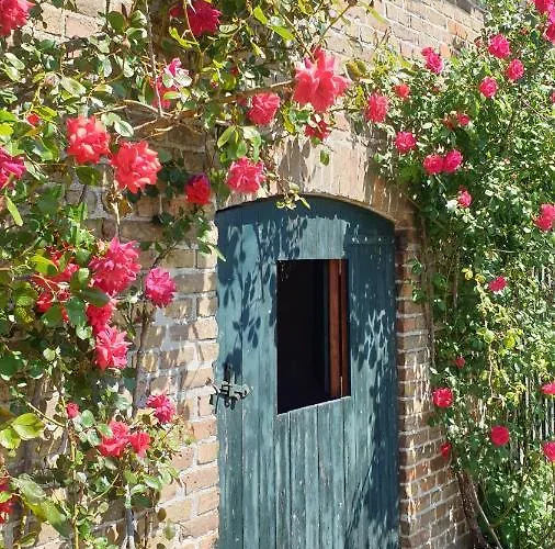 Hoeve Spyckergoed De Haan