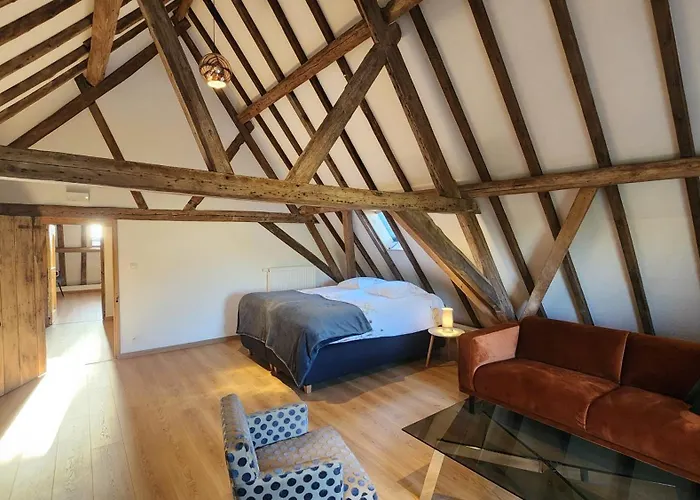 Hoeve Spyckergoed Feriehus *